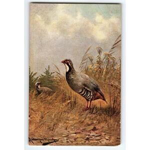 Original Muller Signed Artist Card with Partridge Scene 5.5x3.5in